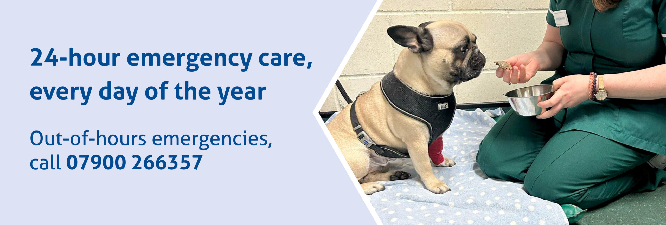 24 hour emergency care every day of the year. Call: 07900 266357