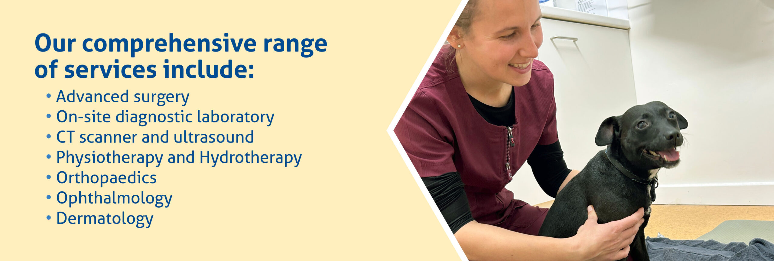 Our comprehensive range of services includes: Advanced surgery, On-site diagnostic laboratory, CT scanner and ultrasound, Physiotherapy and hydrotherapy, Ophthalmology, Dermatology