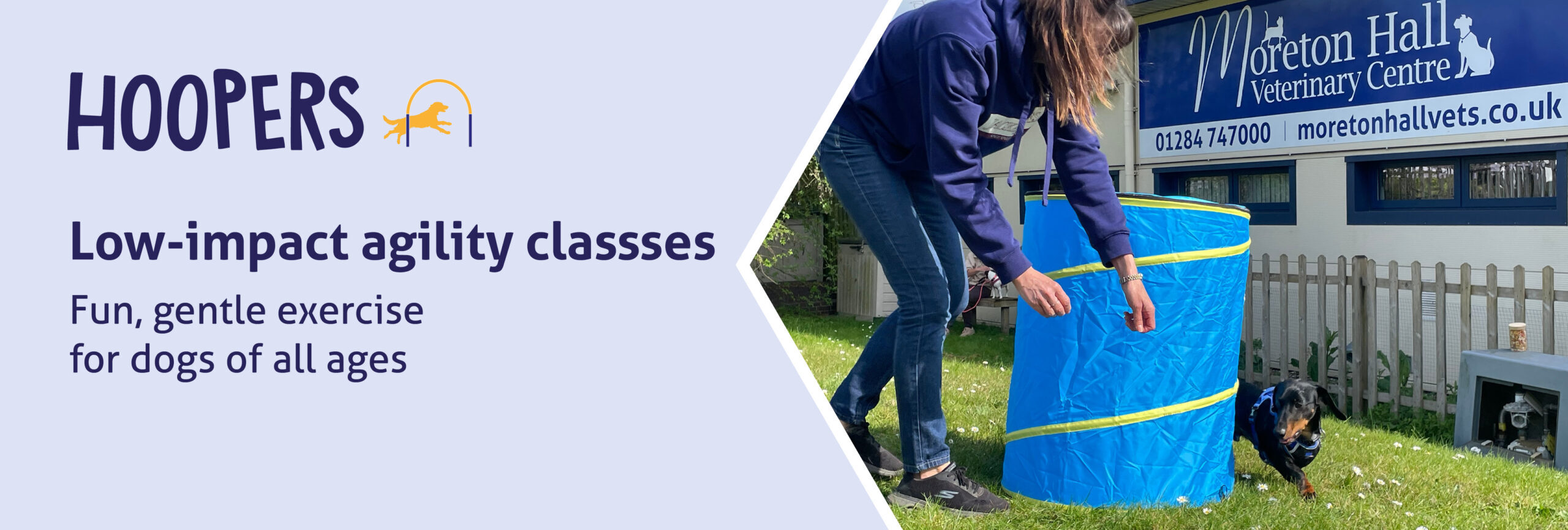 Low-impact agility classes for dogs of all ages.